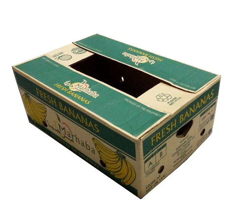 Customized Packaging Boxes